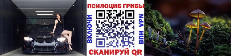 blacksprut вход  Ставрополь  Галлюциногенные грибы GOLDEN TEACHER  дарнет шоп 